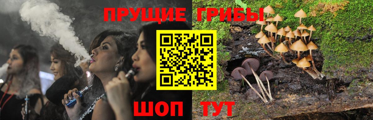 Псилоцибиновые грибы GOLDEN TEACHER Красноперекопск